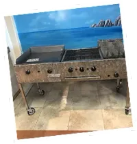 Stainless griddle and grill station in front of a painted ocean mural